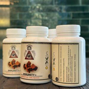 Чага березова 120 капсул 0,35 г