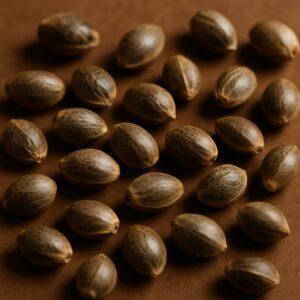 Насіння Auto Fem (ціна за 3 шт)